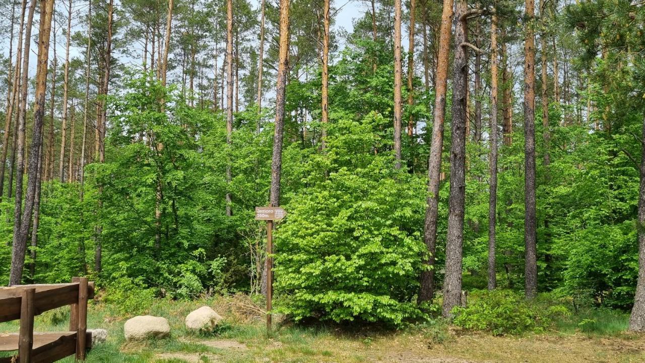 Ptasie Radio, Domek 48.2 Ostoja Bukowo Borowy Mlyn Экстерьер фото