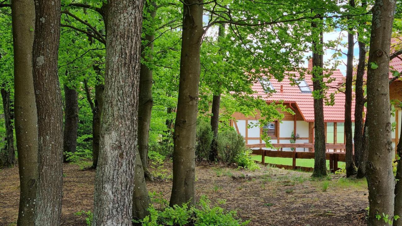 Ptasie Radio, Domek 48.2 Ostoja Bukowo Borowy Mlyn Экстерьер фото