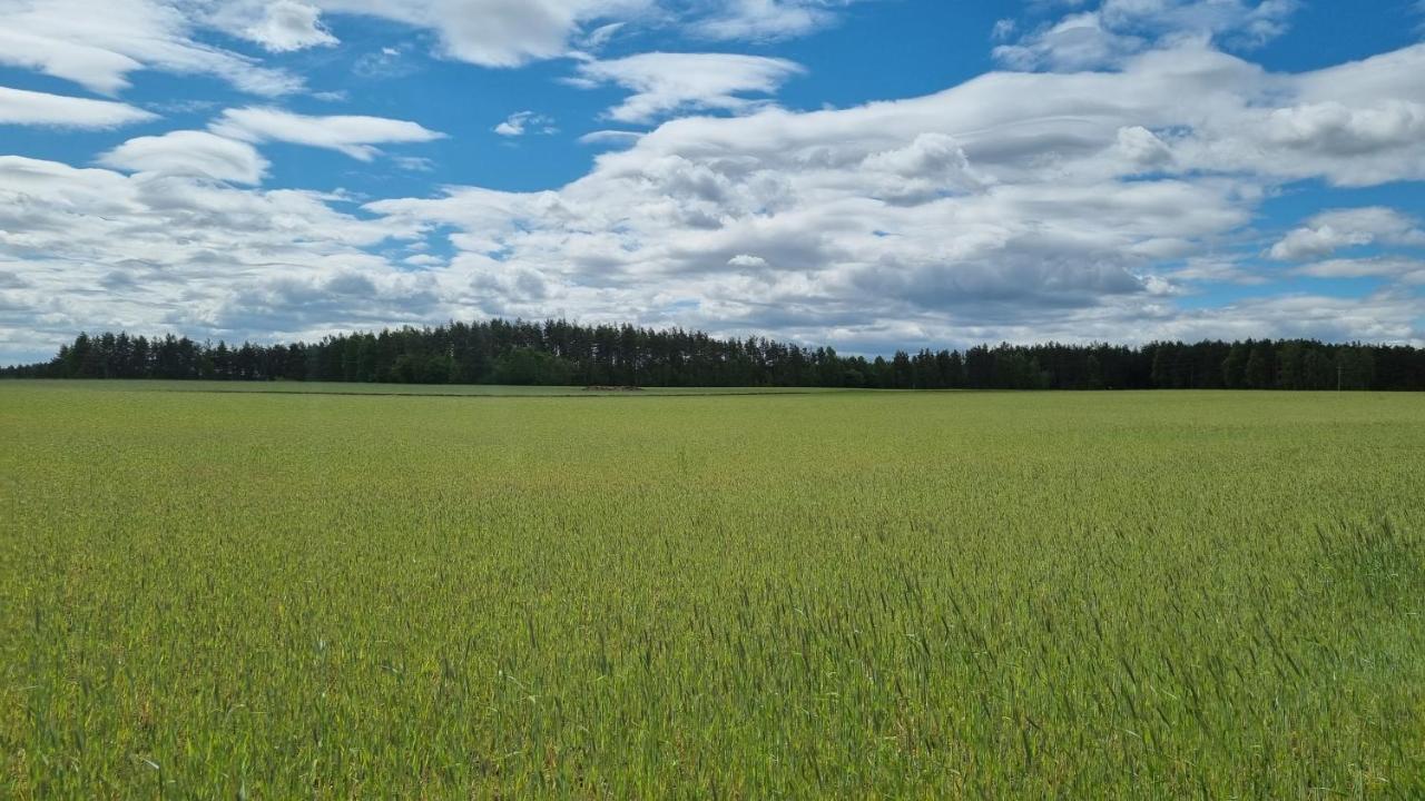 Ptasie Radio, Domek 48.2 Ostoja Bukowo Borowy Mlyn Экстерьер фото